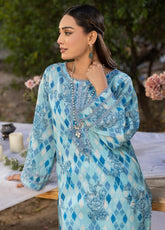 Motifz Classics Printed Lawn 2 Piece Unstitched Suit MT25C2P D-12